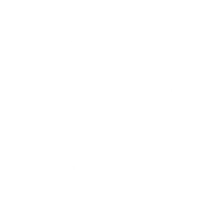 Rigo Ochoa