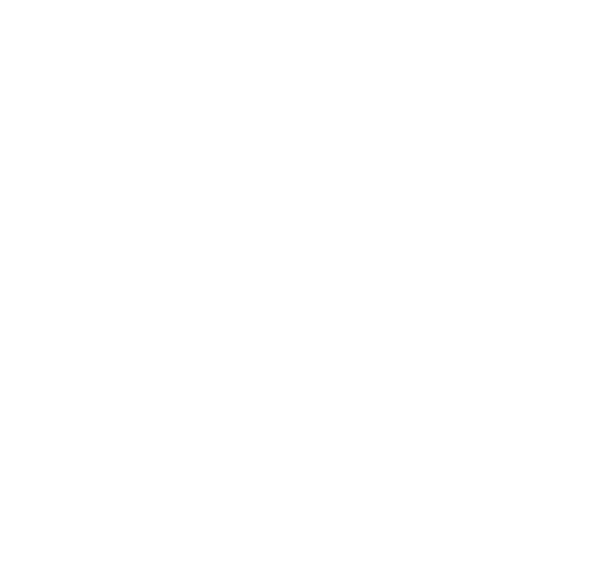 Rigo Ochoa